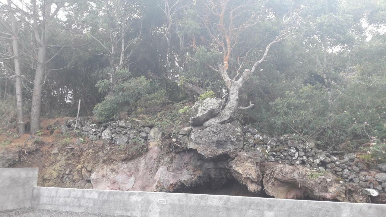 Al - Boa Nova Daire Madalena  Dış mekan fotoğraf